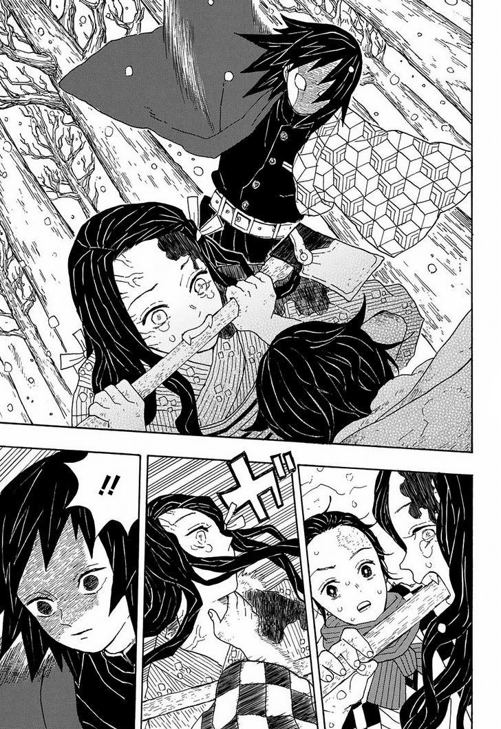 Demon Slayer: Kimetsu no Yaiba Chapter 1 - Page